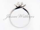 jwg_1074 - Photo #4